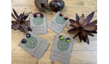 Tagua Hand carved Studs